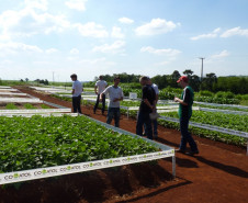 Evento reuniu cerca de 2 mil visitantes na Mostra Técnica Agropecuária organizada e apresentada pelos alunos do Colégio Agrícola Estadual de Toledo.