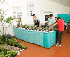 Mais de 30 pesquisas científicas estão expostas na terceira edição do “Dia de Campo e Feira de Profissões – Educação, Produção e Tecnologia”, promovida pelo Centro Estadual de Educação Profissional (CEEP) Newton Freire Maia, em Pinhais, na Região Metropolitana de Curitiba. Os trabalhos foram desenvolvidos ao longo do ano e são apresentados à comunidade, agricultores e empresários nesta quarta (11) e quinta-feira (12).