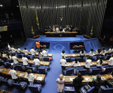 Aluno representa Paraná no Senado Federal