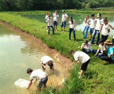 O Colégio Estadual Agrícola Adroaldo Augusto Colombo, em Palotina, Oeste do Paraná, ampliou as práticas da atividade de piscicultura para oferecer mais conhecimentos e oportunidades de melhoria de renda aos alunos do Curso Técnico em Agropecuária. A escola, que pertence ao Governo do Estado, introduziu a criação de crustáceos (carcinicultura) nos tanques onde são criadas tilápias.