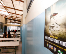 As escolas municipais e estaduais do Paraná iniciaram nesta sexta-feira (19) a campanha nacional de combate ao mosquito Aedes aegypti, transmissor da dengue, zika e chikungunya