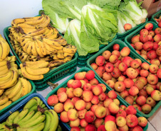 Nessa terça-feira (8), a Associação para o Desenvolvimento da Agroecologia do Paraná (Aopa) de Colombo, na Região Metropolitana de Curitiba, entregou bananas, maçãs, acelga, repolho, cebolinha verde e beterraba ao Colégio Estadual Zumbi dos Palmares, no mesmo município. 