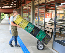 Nessa terça-feira (8), a Associação para o Desenvolvimento da Agroecologia do Paraná (Aopa) de Colombo, na Região Metropolitana de Curitiba, entregou bananas, maçãs, acelga, repolho, cebolinha verde e beterraba ao Colégio Estadual Zumbi dos Palmares, no mesmo município. 