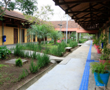 Nessa terça-feira (8), a Associação para o Desenvolvimento da Agroecologia do Paraná (Aopa) de Colombo, na Região Metropolitana de Curitiba, entregou bananas, maçãs, acelga, repolho, cebolinha verde e beterraba ao Colégio Estadual Zumbi dos Palmares, no mesmo município. 