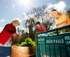 Agricultura Familiar. familia de João Paulo e seus pais na horta, em Arapongas, produz para a merenda escolar. 