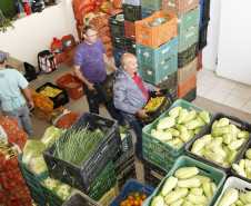 Secretaria de Estado da Educação do Paraná, Cooperativa Aopa de agricultura familiar, em Colombo, agricultores separam alimentos para entrega nas escolas. 