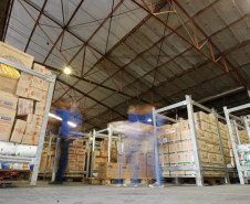 Galpão da Codapar, onde alimentos das escolas são estocados e distribuídos.