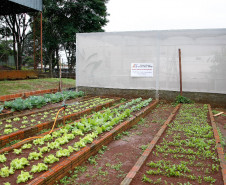 Horta escolar do Colégio Estadual Amâncio Moro, em Corbélia.