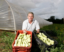 As cooperativas que firmaram contratos com o Governo do Estado já iniciam nesta semana, as a entrega dos produtos da agricultura familiar às escolas da rede pública estadual. Os itens incluem legumes, verduras e hortifrutigranjeiros. 