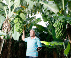 As cooperativas que firmaram contratos com o Governo do Estado já iniciam nesta semana, as a entrega dos produtos da agricultura familiar às escolas da rede pública estadual. Os itens incluem legumes, verduras e hortifrutigranjeiros. 