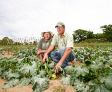 As cooperativas que firmaram contratos com o Governo do Estado já iniciam nesta semana, as a entrega dos produtos da agricultura familiar às escolas da rede pública estadual. Os itens incluem legumes, verduras e hortifrutigranjeiros. 