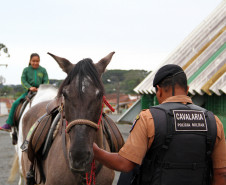 O Colégio Estadual Professora Albina Novak Muginoski, localizado no bairro Águas Claras, em Campo Largo, na Região Metropolitana de Curitiba (RMC), recebeu na tarde de sexta-feira 19) o projeto “Comemorando na escola: Polícia Militar e comunidade escolar juntas construindo um futuro melhor”.