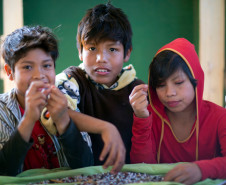 A Escola Estadual Indígena Kuaa Mbo’E, de Diamante do Oeste, é destaque na preservação da cultura guarani e na participação constante da comunidade do dia a dia da escola. Esse empenho e organização rendeu à escola o segundo lugar no Prêmio Gestão CAF entre as escolas pertencentes ao Núcleo de Educação de Toledo. O prêmio valoriza a gestão participativa.