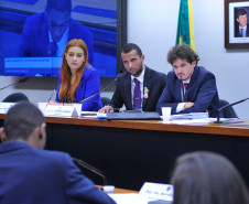 A participação dos estudantes paranaenses é um dos destaques da 13° edição do programa Parlamento Jovem Brasileiro (PJB), que tem como objetivo facilitar aos estudantes do ensino médio das escolas públicas e privadas brasileiras o exercício da cidadania e da vivência do processo legislativo. Durante o programa, os jovens participaram de uma jornada de uma semana na Câmara dos Deputados, em Brasília, onde atuam como deputados federais de maneira simulada.