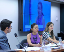 A participação dos estudantes paranaenses é um dos destaques da 13° edição do programa Parlamento Jovem Brasileiro (PJB), que tem como objetivo facilitar aos estudantes do ensino médio das escolas públicas e privadas brasileiras o exercício da cidadania e da vivência do processo legislativo. Durante o programa, os jovens participaram de uma jornada de uma semana na Câmara dos Deputados, em Brasília, onde atuam como deputados federais de maneira simulada.