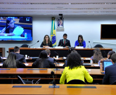 A participação dos estudantes paranaenses é um dos destaques da 13° edição do programa Parlamento Jovem Brasileiro (PJB), que tem como objetivo facilitar aos estudantes do ensino médio das escolas públicas e privadas brasileiras o exercício da cidadania e da vivência do processo legislativo. Durante o programa, os jovens participaram de uma jornada de uma semana na Câmara dos Deputados, em Brasília, onde atuam como deputados federais de maneira simulada.