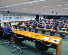 A participação dos estudantes paranaenses é um dos destaques da 13° edição do programa Parlamento Jovem Brasileiro (PJB), que tem como objetivo facilitar aos estudantes do ensino médio das escolas públicas e privadas brasileiras o exercício da cidadania e da vivência do processo legislativo. Durante o programa, os jovens participaram de uma jornada de uma semana na Câmara dos Deputados, em Brasília, onde atuam como deputados federais de maneira simulada.