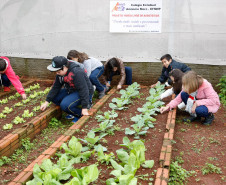 A preocupação com a preservação ambiental, combate ao desperdício, pesquisas de fontes alternativas de energia e a promoção de hábitos alimentares saudáveis estão entre os temas trabalhados nas escolas estaduais, por meio de projetos educacionais voltados à sustentabilidade