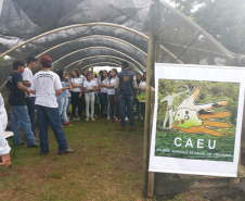 O “Dia do Campo” reuniu mais de 400 estudantes de escolas da rede estadual, municipal e particular da região que conheceram os projetos e atividades desenvolvidas na escola