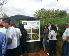 O “Dia do Campo” reuniu mais de 400 estudantes de escolas da rede estadual, municipal e particular da região que conheceram os projetos e atividades desenvolvidas na escola