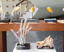 No hall de entrada do palco principal do Teatro Guaíra os visitantes puderam conhecer um pouco mais sobre a evolução da educação pública, graças a uma mostra promovida pelo Museu da Escola Paranaense. Os convidados puderam ver parte do acervo que inclui uniformes, livros, fotografias e mobiliários que representam a evolução da educação no Estado. Entre os itens estão as antigas carteiras com espaço para tinteiro, mesas para desenho e os tradicionais uniformes com saia plissada.