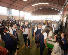 Mais de 300 mil paranaenses já podem se vacinar contra a dengue na rede pública de saúde