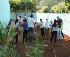 O Colégio Estadual Monteiro Lobato, de Dois Vizinhos (região Sudoeste), trabalha com Educação em Tempo Integral e também com o Programa Novo Mais Educação. “A jornada ampliada traz muitos benefícios aos estudantes. Amplia a conscientização deles quanto a vários temas atuais, ficam mais participativos e interessados”, afirma a diretora Helena Maria Guareschi.
