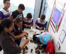 Na Escola Estadual Boa Vista da Santa Cruz, no município de Rosário do Ivaí (região Norte Central), são 28 estudantes participando de atividades do Novo Mais Educação