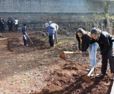 O Colégio Estadual Monteiro Lobato, de Dois Vizinhos (região Sudoeste), trabalha com Educação em Tempo Integral e também com o Programa Novo Mais Educação. “A jornada ampliada traz muitos benefícios aos estudantes. Amplia a conscientização deles quanto a vários temas atuais, ficam mais participativos e interessados”, afirma a diretora Helena Maria Guareschi.