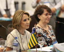A secretária da Educação do Paraná, professora Ana Seres, participa nesta segunda-feira (12) e terça-feira (13) da primeira reunião ordinária de 2018 do Conselho Nacional de Secretários de Educação (Consed), em Fortaleza, no Ceará. Estão reunidos representantes de todos os estados e Distrito Federal para discutir e validar o texto da Base Nacional Comum Curricular (BNCC) do Ensino Médio.