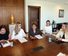 A governadora Cida Borghetti recebeu nesta quarta-feira (11), no Palácio Iguaçu, representantes dos profissionais da Educação e reafirmou a disposição do Governo do Estado para a construção conjunta de soluções para as demandas da rede pública de ensino e para o debate constante com as entidades representativas de classe. “É o momento de reforçar o diálogo, de discutir cada assunto com responsabilidade legal e transparência para a tomada de decisões”, disse.