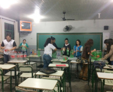 A região do Rio Paraná, conhecida como “Litoral Doce” do Estado, tem atraído muitos veranistas e com eles condomínios residenciais e lojas de decoração. A demanda por profissionais para atuarem na decoração destas novas casas e nas lojas que se instalaram atraídas pelo fluxo de turistas fez com que o Centro Educacional de Educação Profissional Dr Marins Alves de Camargo, de Paranavaí, passasse a oferecer um curso técnico em design de interiores. 