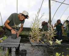 Secretaria Estadual de Educação do Paraná; CEEP Newton Freire Maia, curso de Meio Ambiente com o projeto de revetalização de áreas verdes do colégio, na foto o aluno Giliade Thaylor Feitosa Silva Lima. 17-04-18. Foto: Hedeson Alves