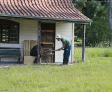 Secretaria Estadual de Educação do Paraná; CEEP Newton Freire Maia, curso de Meio Ambiente com o projeto de revetalização de áreas verdes do colégio. 17-04-18. Foto: Hedeson Alves