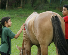 Secretaria Estadual de Educação do Paraná; Vila da Cidadania em Piraquara, alunos de diversos colégios participam de oficinas oferecidas dentro da cidade mirin como atividades de culinária, esporte, jardinagem entre outras. 17-04-18. Foto: Hedeson Alves