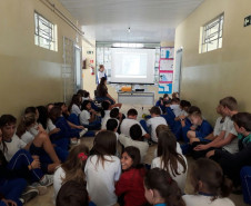 O trabalho “Água: a grande teia da vida”, de estudantes do Colégio Estadual do Campo Gonçalves Junior, vai representar o Paraná na 5ª edição da Conferência Nacional Infantojuvenil pelo Meio Ambiente, em Brasília. 