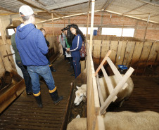 Secretaria Estadual de Educação do Paraná; Feira de profissões no CEEP Newton Freire. 13-06-18. Foto: Hedeson Alves