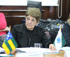 Secretários de educação de todo o país estão reunidos nesta segunda e terça-feira (25 e 26) em São Paulo para participar da 2ª reunião do Conselho Nacional de Secretários de Educação (Consed). A pauta principal do encontro é a Base Nacional Comum Curricular (BNCC) do Ensino Médio, atualmente sendo debatida em todo o país.