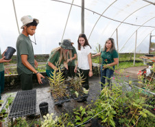 A Secretaria da Educação abre, a partir desta segunda-feira (15), as inscrições para 51 cursos técnicos e para o curso de Formação de Docentes, em mais de 180 municípios do Paraná