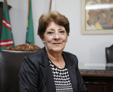 Paraná aprova referencial para Educação Infantil e Ensino Fundamental. Foto: Hedeson Alves