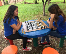 Projeto é coordenado pela funcionária em parceria com uma rede de voluntários formada por ex-alunos, professores, ex-professores e membros da comunidade escolar.