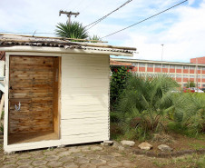 Sanitário ecológico na escola estadual Newton Freire Maia em Pinhais. Pinhais,12/03/2019 Foto:Jaelson Lucas / ANPr