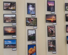 Professora propôs que estudantes abordassem, por meio de fotos, aspectos positivos e negativos do bairro Monte Castelo, em Colombo
