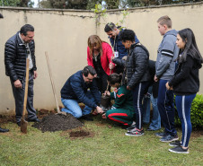 O governador Carlos Massa Ratinho Junior participa nesta segunda-feira (23) do plantio de árvores no Colégio Estadual Professora Maria Gai Grendel, no bairro Caximba, em Curitiba. O evento marcará o início do programa Paraná mais Verde, que vai incentivar o plantio de mudas de árvores nativas em todo o Estado.   23/09/2019 - Foto: Geraldo Bubniak/AEN
