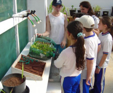 Projeto oferece oportunidade para estudantes da educação básica participarem de aulas de campo orientadas por professores da Universidade.