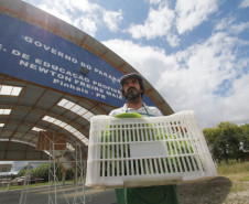O Paraná é o primeiro estado a cumprir a legislação federal que destina 30% dos recursos do Programa Nacional de Alimentação Escolar (PNAE) à compra de produtos diretamente da agricultura familiar.