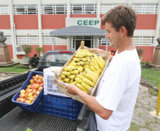 Neste ano, serão investidos no Estado R$ 23,67 milhões na compra de produtos perecíveis e semiperecíveis de agricultores familiares, para compor a alimentação dos alunos da rede estadual de ensino. 