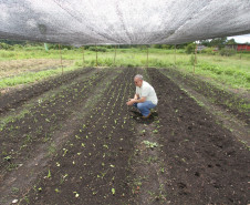 Para o ano que vem, a meta é destinar para compras de produtos da agricultura familiar cerca de 35% dos R$ 80 milhões a serem repassados pelo PNAE para a alimentação nas escolas estaduais paranaenses.