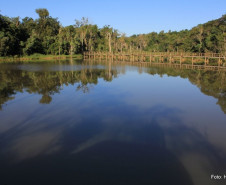 Lançado pelo governador Beto Richa em junho de 2011, o Parque Escola é considerado um projeto inovador na área da educação ambiental.