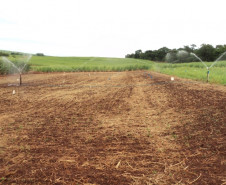 Alunos vivenciam práticas de irrigação para aumento de produção agrícola em colégio de Cambará. Formação dá subsídios para trabalho como técnico.